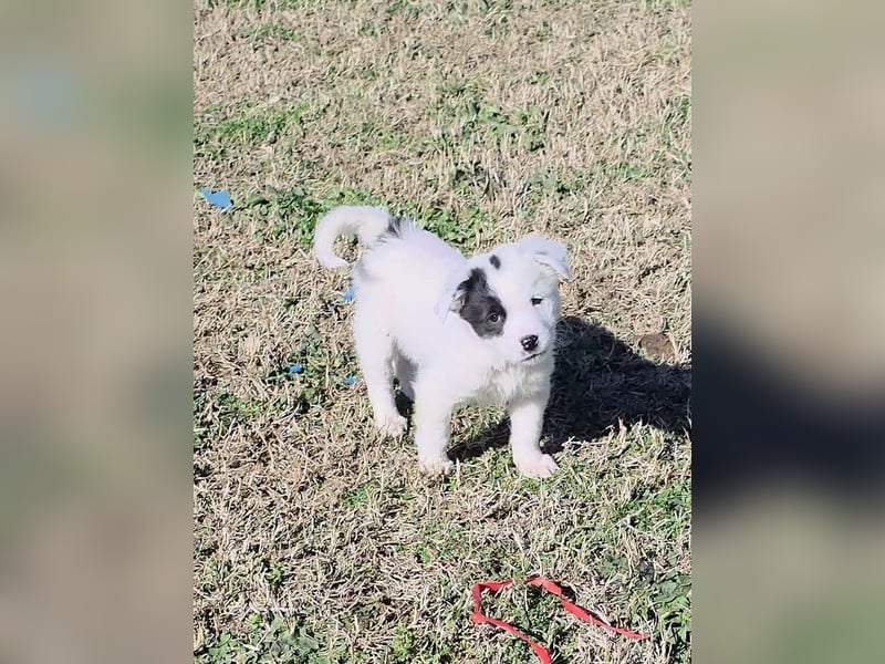 Nira möchte die Welt entdecken