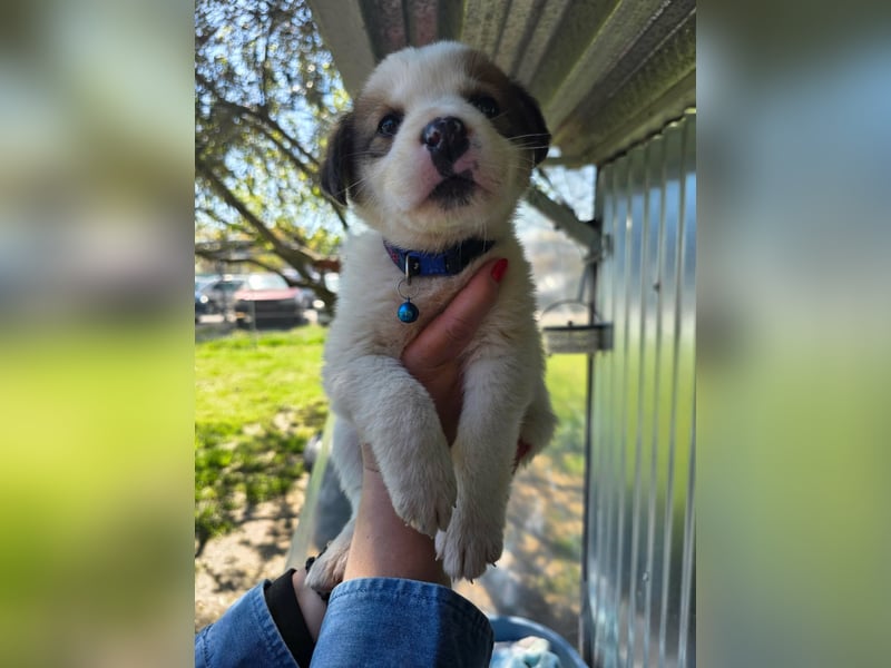 Thanos möchte bei seinen Menschen ankommen