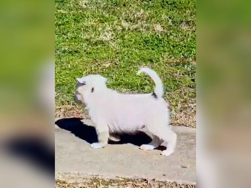 Nira möchte die Welt entdecken