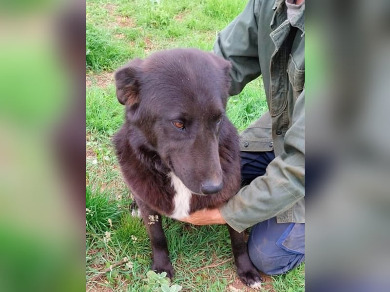 Sara niemand hat sie bisher gesehen