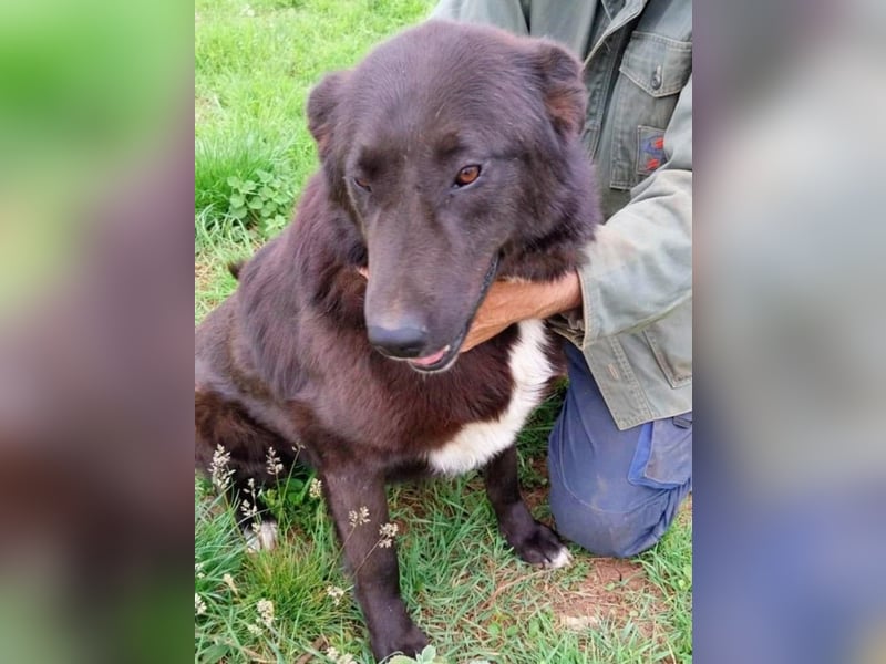 Sara niemand hat sie bisher gesehen