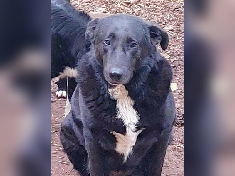 Sara niemand hat sie bisher gesehen