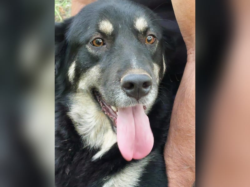 Rosie hat ein großes Herz ❤️