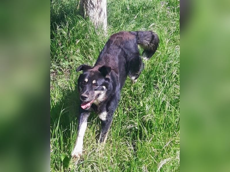 Rosie hat ein großes Herz ❤️