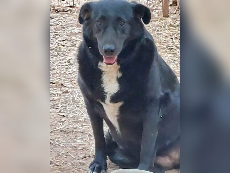 Sara niemand hat sie bisher gesehen