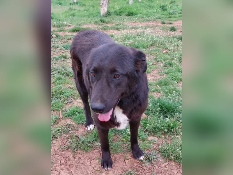 Sara niemand hat sie bisher gesehen