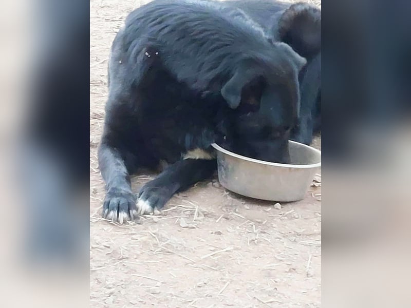 Sara niemand hat sie bisher gesehen