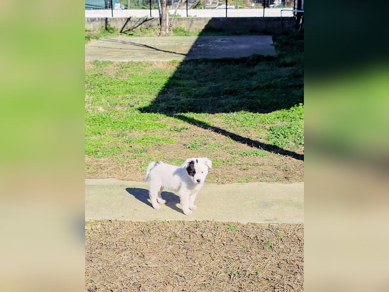 Nira möchte die Welt entdecken