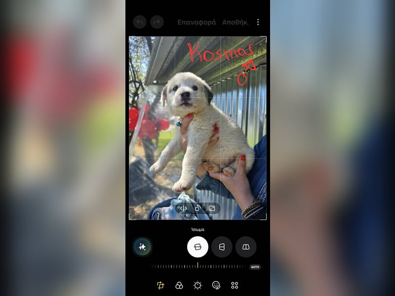 Kosmas möchte die Welt entdecken