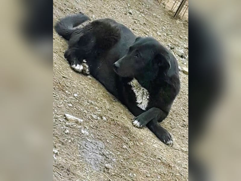 Sara niemand hat sie bisher gesehen