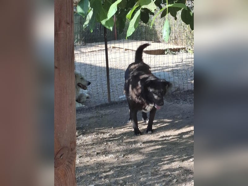 Sara niemand hat sie bisher gesehen