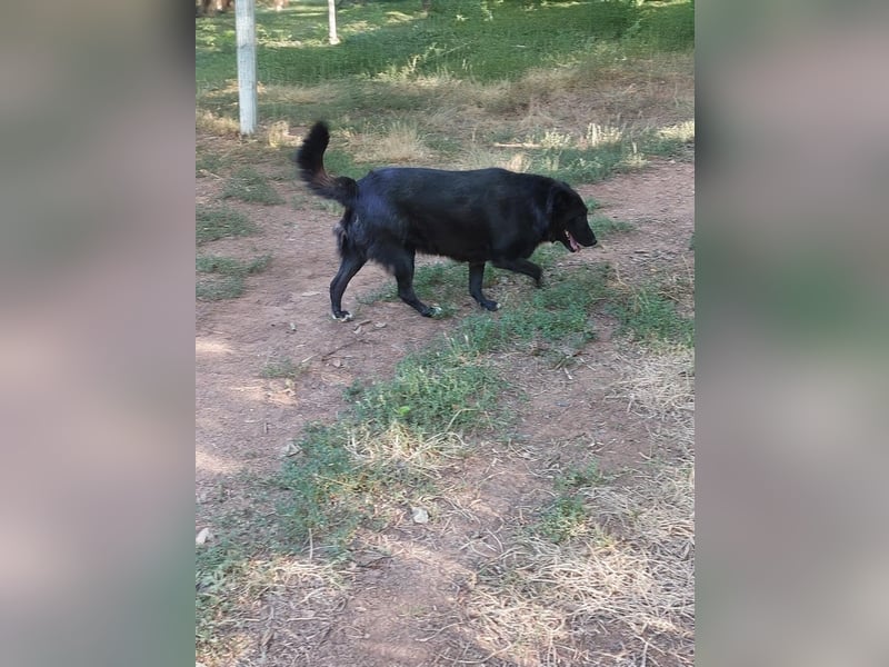 Sara niemand hat sie bisher gesehen