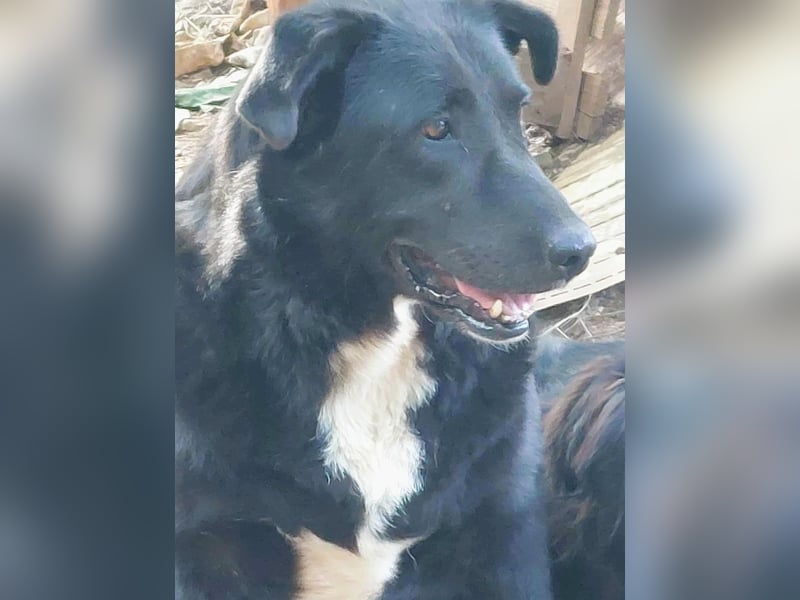 Sara niemand hat sie bisher gesehen