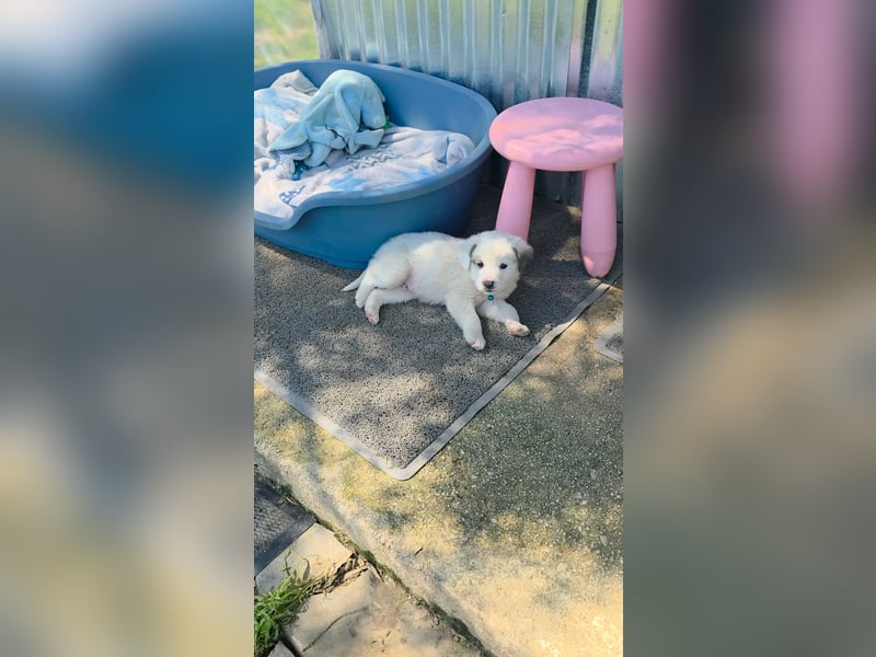 Kosmas möchte die Welt entdecken