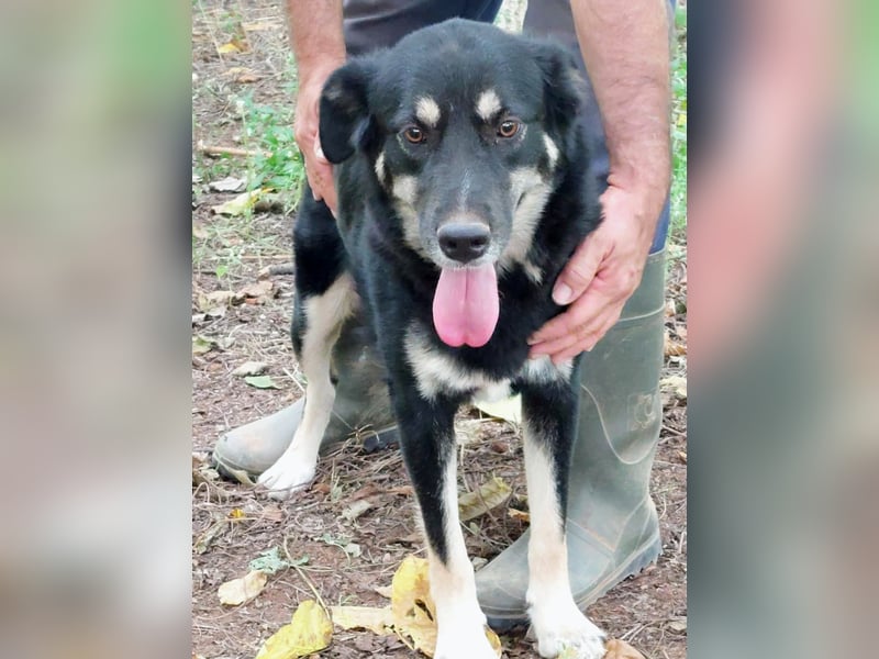 Rosie hat ein großes Herz ❤️