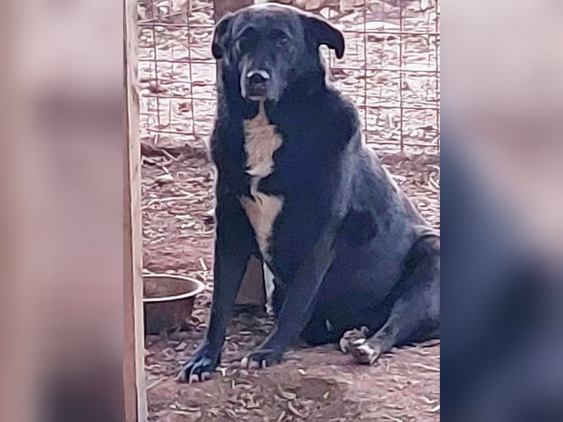 Sara niemand hat sie bisher gesehen