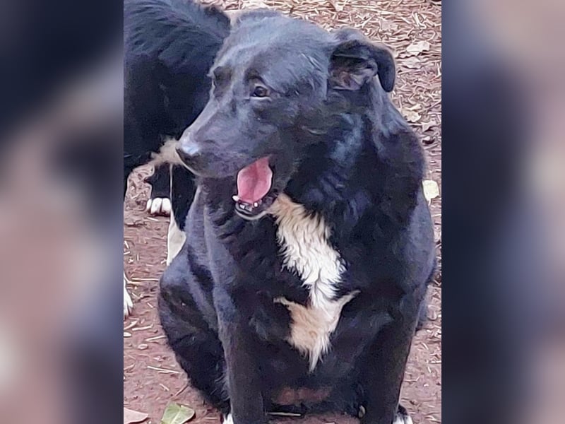 Sara niemand hat sie bisher gesehen