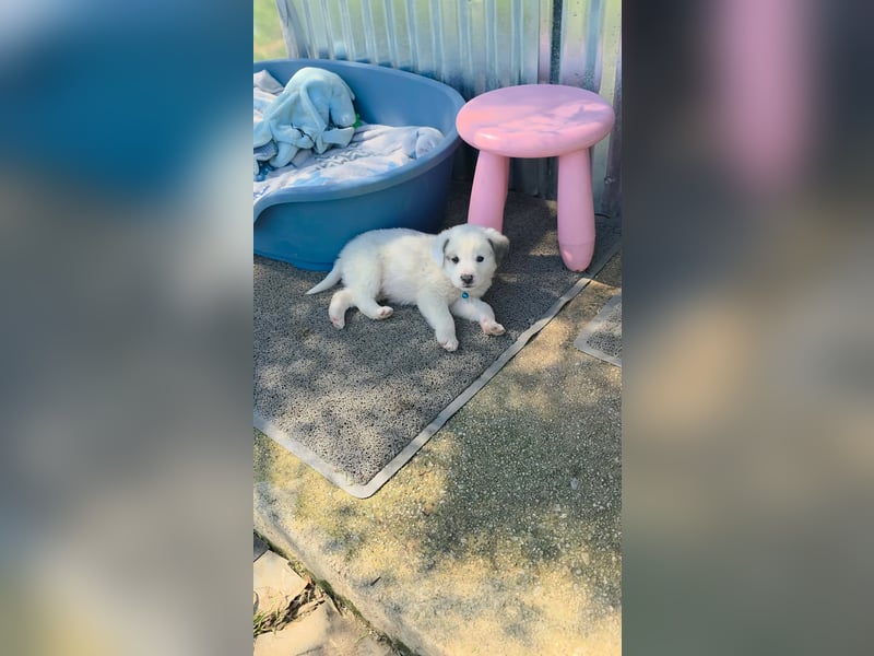 Kosmas möchte die Welt entdecken