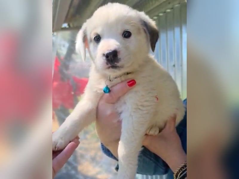 Kosmas möchte die Welt entdecken