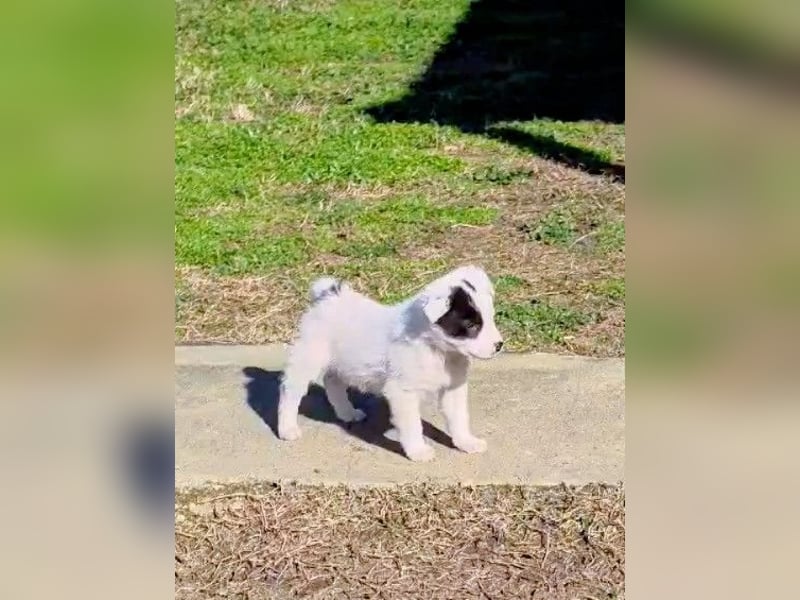 Nira möchte die Welt entdecken