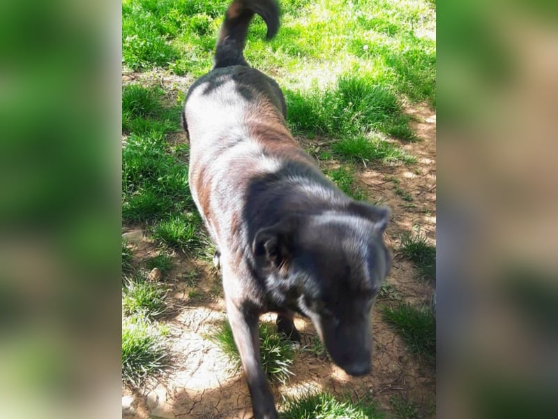 Sara niemand hat sie bisher gesehen