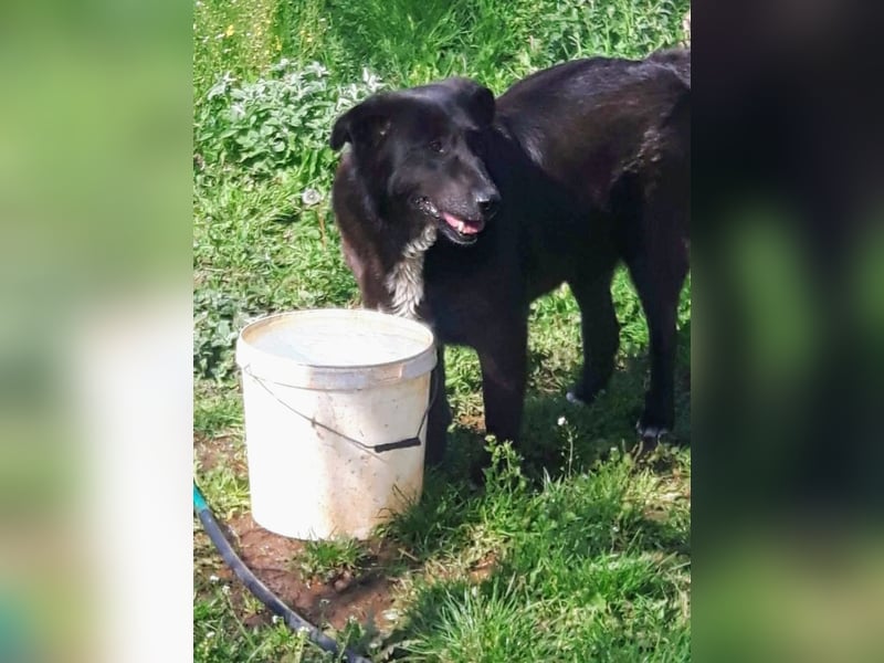 Sara niemand hat sie bisher gesehen