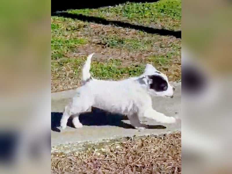 Nira möchte die Welt entdecken