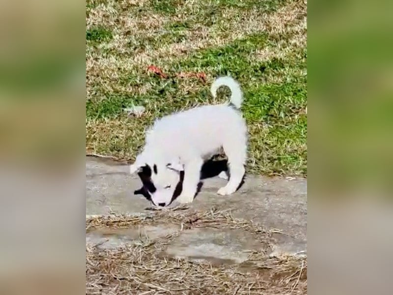 Nira möchte die Welt entdecken