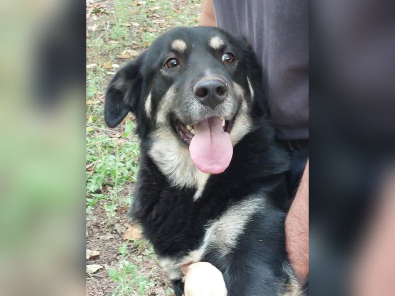 Rosie hat ein großes Herz ❤️