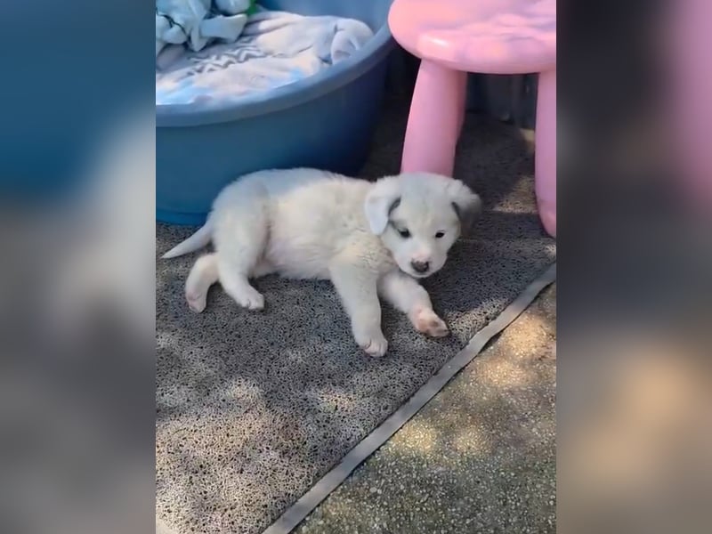 Kosmas möchte die Welt entdecken