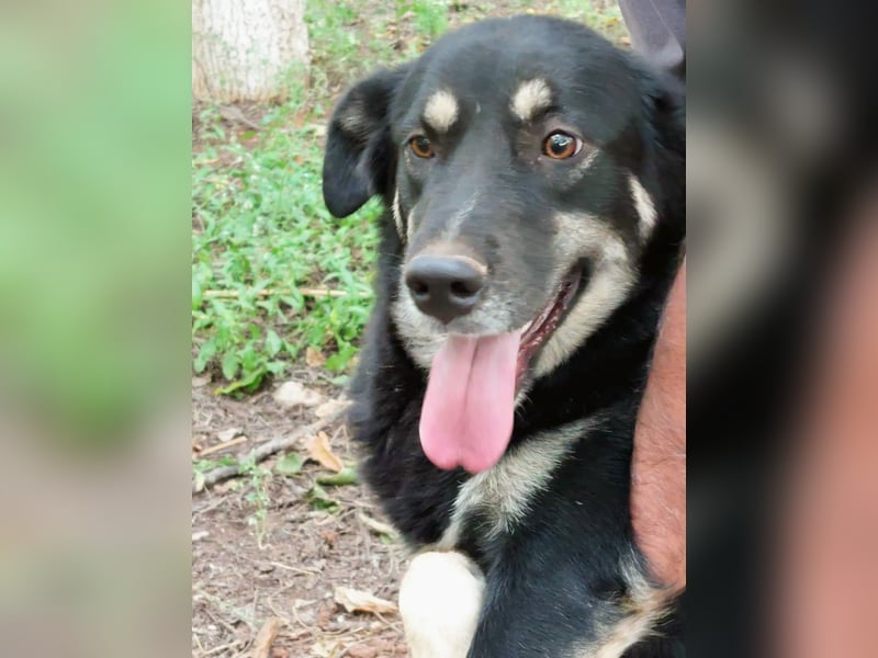 Rosie hat ein großes Herz ❤️