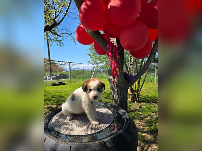 Thanos möchte bei seinen Menschen ankommen