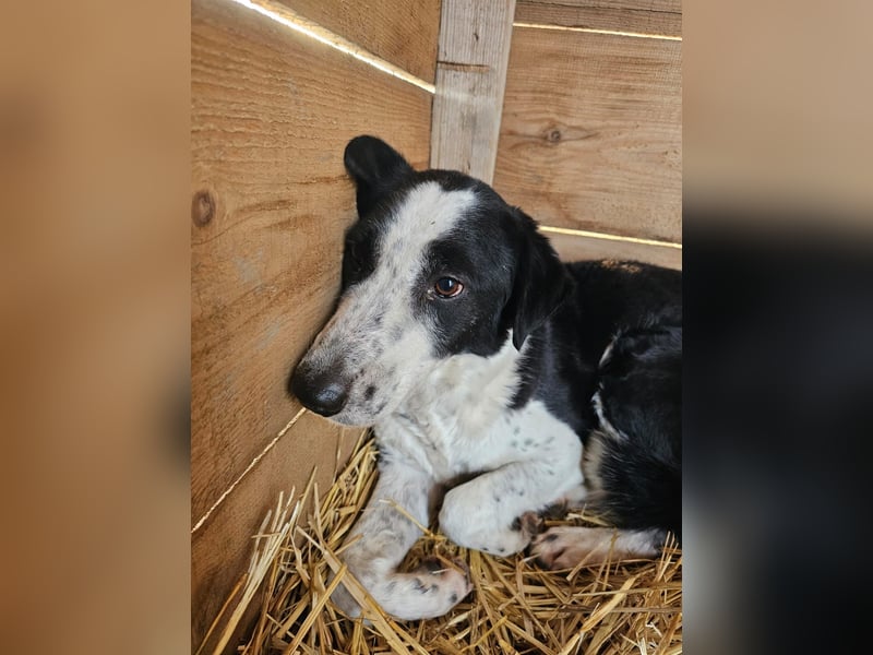 Aramis sucht seinen Platz zum Ankommen