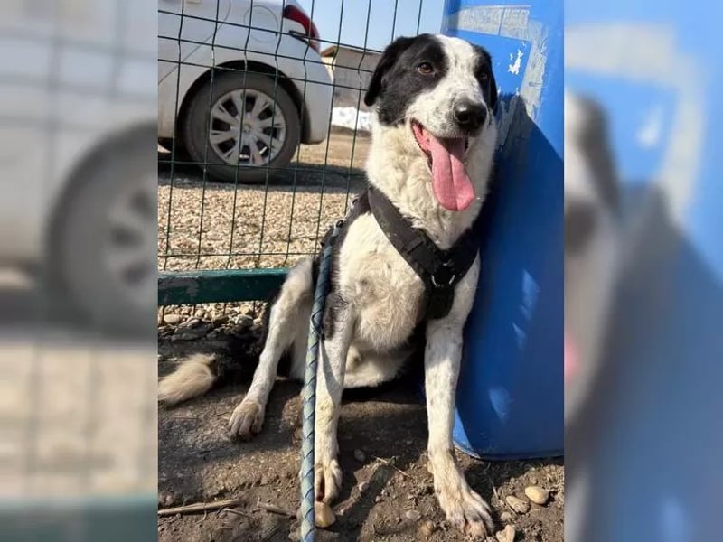 Aramis sucht seinen Platz zum Ankommen