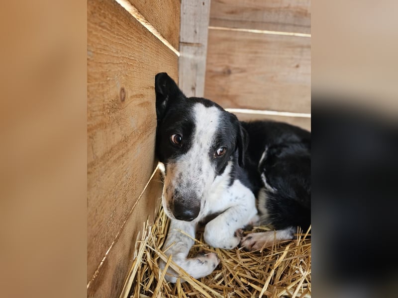 Aramis sucht seinen Platz zum Ankommen