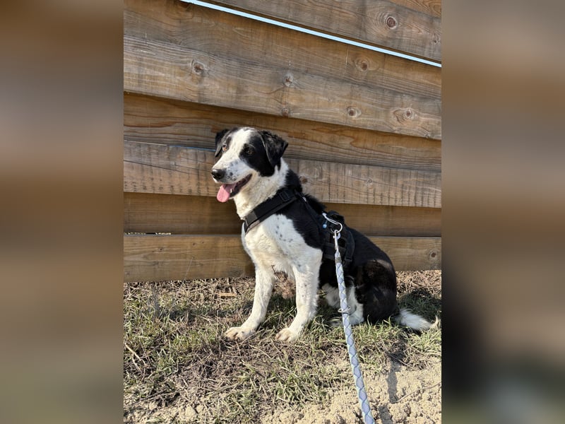 Aramis sucht seinen Platz zum Ankommen