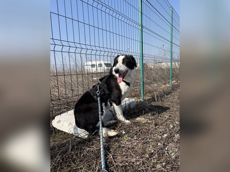 Aramis sucht seinen Platz zum Ankommen