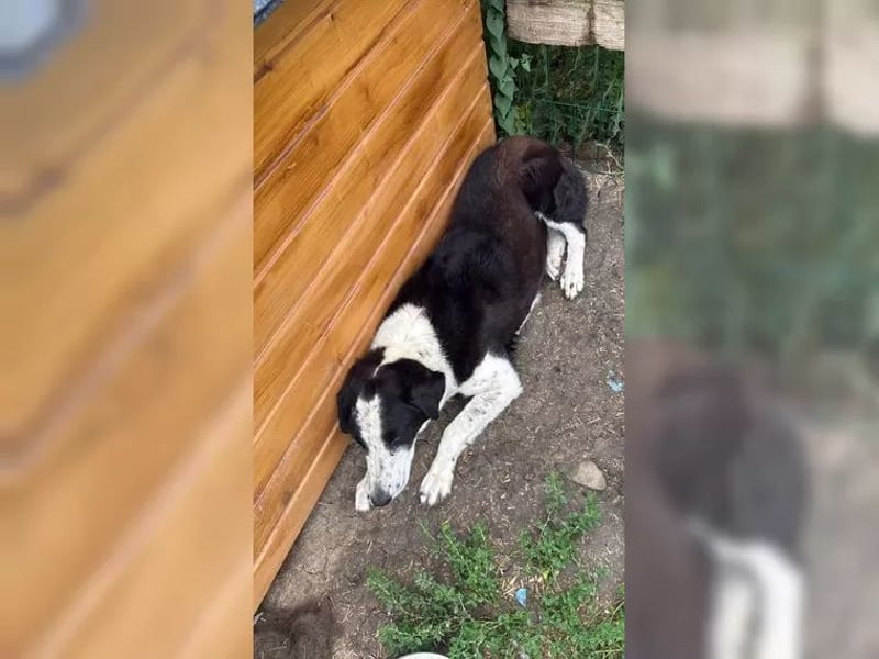 Aramis sucht seinen Platz zum Ankommen
