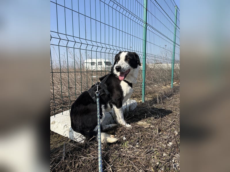 Aramis sucht seinen Platz zum Ankommen