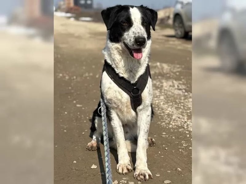 Aramis sucht seinen Platz zum Ankommen