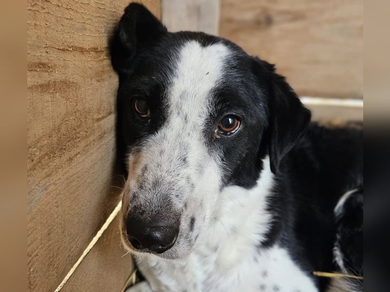 Aramis sucht seinen Platz zum Ankommen