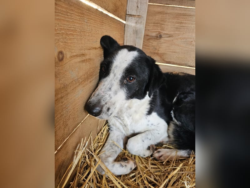 Aramis sucht seinen Platz zum Ankommen