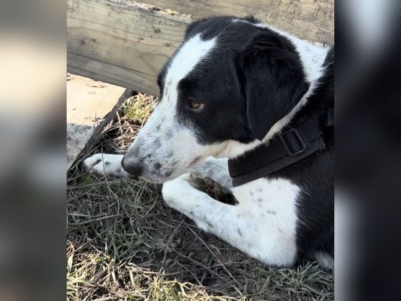 Aramis sucht seinen Platz zum Ankommen