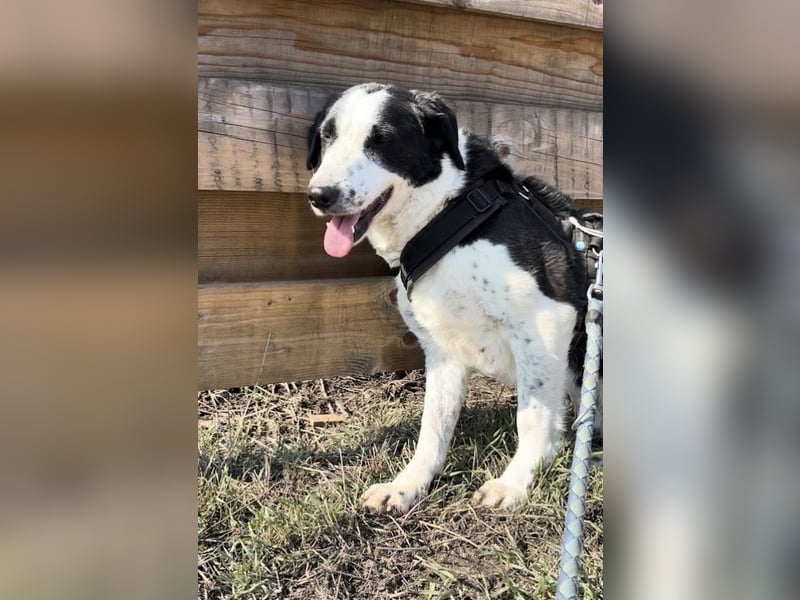 Aramis sucht seinen Platz zum Ankommen