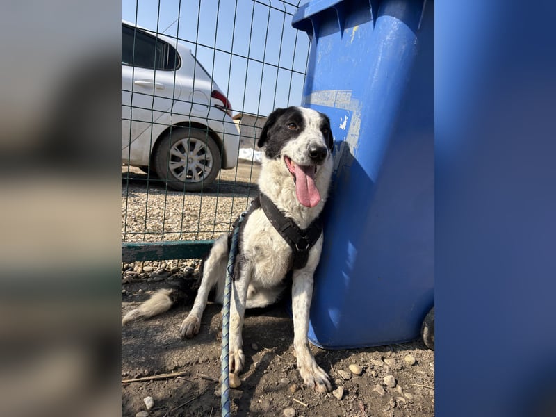 Aramis sucht seinen Platz zum Ankommen