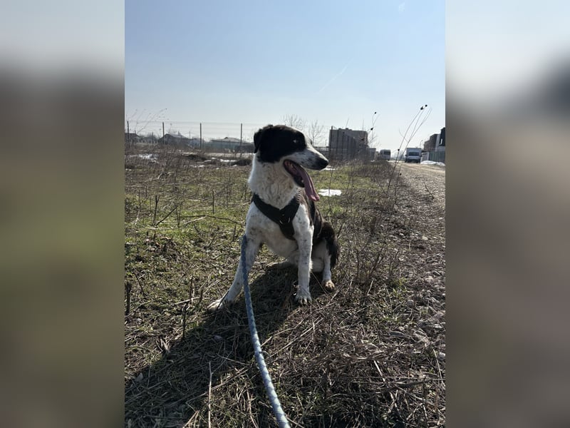 Aramis sucht seinen Platz zum Ankommen