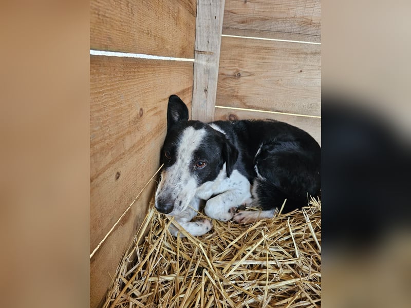 Aramis sucht seinen Platz zum Ankommen
