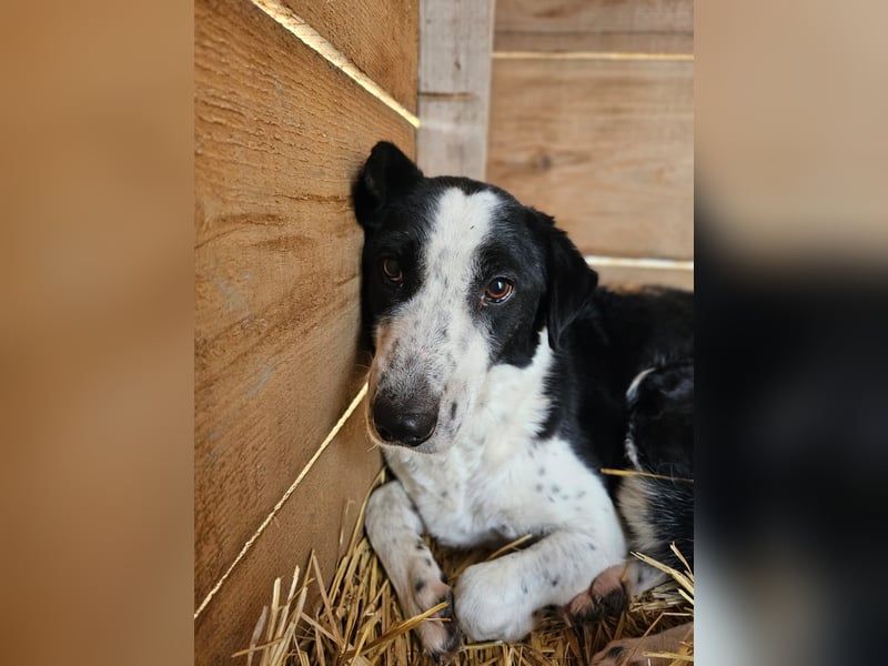 Aramis sucht seinen Platz zum Ankommen