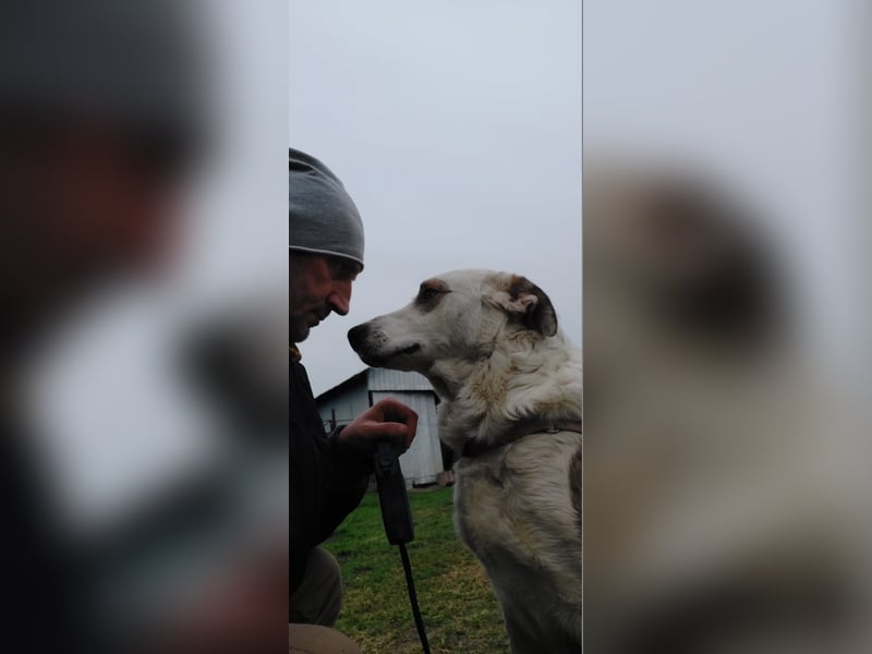 MOGLI - ist bereit für Abenteuer