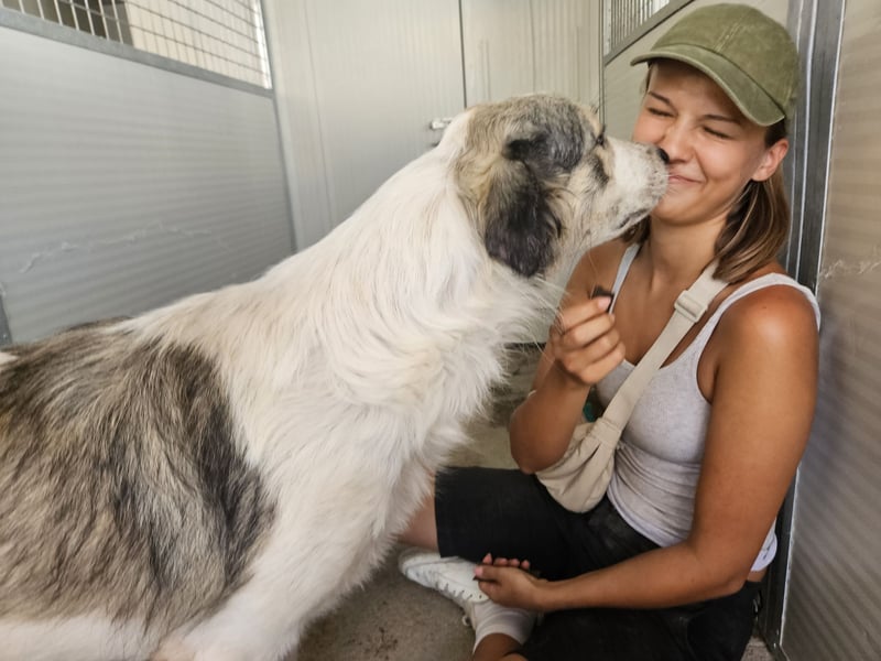 Davide: Traumhund ohne Wenn und Aber